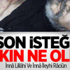 Son İsteği Yemekti Ama... Son İsteği Yemekti Ama...