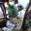 Evinden 3 ton çöp çıkarılan adamın sözleri şaşkına çevirdi! Evinden 3 ton çöp çıkarılan adamın sözleri şaşkına çevirdi!