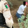 Meksika'da gizli mezarda 5 ceset bulundu