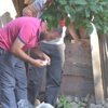 Adana’da torbacı operasyonu Adana’da torbacı operasyonu