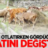 Hayvan otlatırken gördüğü uçak hayatını değiştirdi Hayvan otlatırken gördüğü uçak hayatını değiştirdi