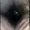 Kaybolan iki köpek mazgalda bulundu Kaybolan iki köpek mazgalda bulundu