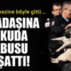 Kadın, polis merkezine kucağında köpeğiyle götürüldü Kadın, polis merkezine kucağında köpeğiyle götürüldü