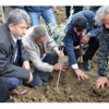 Kesilen Zeytinlerin Yerine Yenilerini Diktiler Kesilen Zeytinlerin Yerine Yenilerini Diktiler