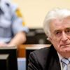 'Bosna Kasabı' Karadzic'e müebbet hapis