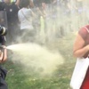Kırmızılı kadına gaz sıkan polise 600 fidan dikme cezası