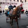 Roma da atlı faytonların kent içinde kullanımı yasaklandı Roma da atlı faytonların kent içinde kullanımı yasaklandı