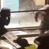 Fransa'da mağazalar yağmalandı Fransa'da mağazalar yağmalandı