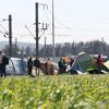 Polonya, Slovakya ve Macaristan'dan kota kararına tepki
