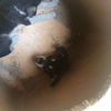 Kafası Sıkışan Köpeği İtfaiye Ekipleri Kurtardı Kafası Sıkışan Köpeği İtfaiye Ekipleri Kurtardı