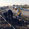 Uluabat Gölü'nde büyük tehlike!