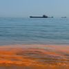 Marmara Denizi'nde şaşırtan görüntü! Marmara Denizi'nde şaşırtan görüntü!