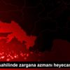 Bodrum sahilinde zargana azmanı heyecanı Bodrum sahilinde zargana azmanı heyecanı