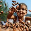 Fındık alım fiyatları belli oldu