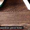 En fazla kazandıran yatırım fonları