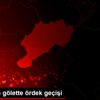 Buz tutan gölette ördek geçişi Buz tutan gölette ördek geçişi