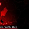 8 Mart Dünya Kadınlar Günü