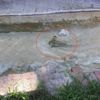 Antalya’da kan donduran olay