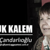 KONUK KALEM / Gülçin Çandarlıoğlu