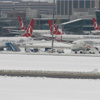 THY'den 246 uçuş iptal