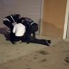 İşsizleri iş vaadiyle dolandırdı İşsizleri iş vaadiyle dolandırdı