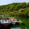 Ağva'ya 3 günlük tatil akını Ağva'ya 3 günlük tatil akını
