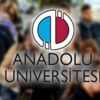 Anadolu Üniversitesi 14 öğretim görevlisi ve araştırma görevlisi alacak Anadolu Üniversitesi 14 öğretim görevlisi ve araştırma görevlisi alacak