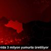 Ordu da yılda 3 milyon yumurta üretiliyor Ordu da yılda 3 milyon yumurta üretiliyor