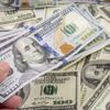 Merkez Bankası Beklenti Anketi sonuçlarını paylaştı Merkez Bankası Beklenti Anketi sonuçlarını paylaştı