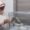 Emine Erdoğan: Hayvanlara gösterilen şiddetin hiçbir türünü asla kabul edemeyiz Emine Erdoğan: Hayvanlara gösterilen şiddetin hiçbir türünü asla kabul edemeyiz