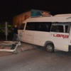 Gaziosmanpaşa'da bonzai dehşeti
