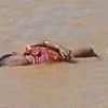 Kahreden görüntü Aylan bebeği hatırlattı