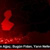 "11 Milyon Ağaç; Bugün Fidan, Yarın Nefes" Programı "11 Milyon Ağaç; Bugün Fidan, Yarın Nefes" Programı