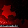 Taşkent te fidan dikim etkinliği Taşkent te fidan dikim etkinliği