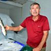 Dalyan kefaline Dubai den de talep geldi Dalyan kefaline Dubai den de talep geldi