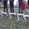 Robotlar futbol oynadı! Robotlar futbol oynadı!