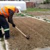 Safranbolu Belediyesi tarımsal çalışmaları sürdürüyor Safranbolu Belediyesi tarımsal çalışmaları sürdürüyor