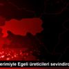 Pamuk, verimiyle Egeli üreticileri sevindirdi Pamuk, verimiyle Egeli üreticileri sevindirdi