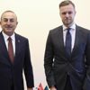 Dışişleri Bakanı Çavuşoğlu, Litvanya'da bazı mevkidaşlarıyla görüştü Dışişleri Bakanı Çavuşoğlu, Litvanya'da bazı mevkidaşlarıyla görüştü