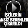 Enfeksiyon kapan bebek fil iyileşti Enfeksiyon kapan bebek fil iyileşti