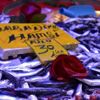Son dakika haber | Eskişehir de hamsi fiyatı 50 liraya ... Son dakika haber | Eskişehir de hamsi fiyatı 50 liraya ...