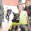 'HAV'a kuvvetleri 'HAV'a kuvvetleri