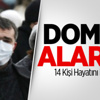 Domuz Gribi Alarmı!