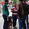 Ankara'daki bomba alarmı asılsız çıktı Ankara'daki bomba alarmı asılsız çıktı