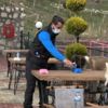 Bu kafeye sadece köpekler girebilir