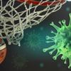 Petkimspor üzgün ama umutlu Petkimspor üzgün ama umutlu