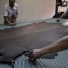 'Kurban derilerini ekonomiye kazandıralım' 'Kurban derilerini ekonomiye kazandıralım'
