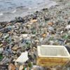 Dünya 'Plastik Gezegen' olma yolunda ilerliyor Dünya 'Plastik Gezegen' olma yolunda ilerliyor