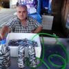 Karadeniz de hamsi bereketi Karadeniz de hamsi bereketi