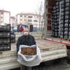Tarım şehri Amasya da çilek yetiştiriciliğine destek